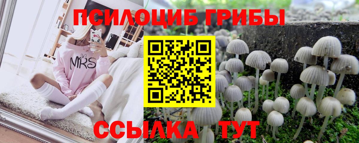 Галлюциногенные грибы ЛСД  Вход с VPN  продажа наркотиков  Боровичи 
