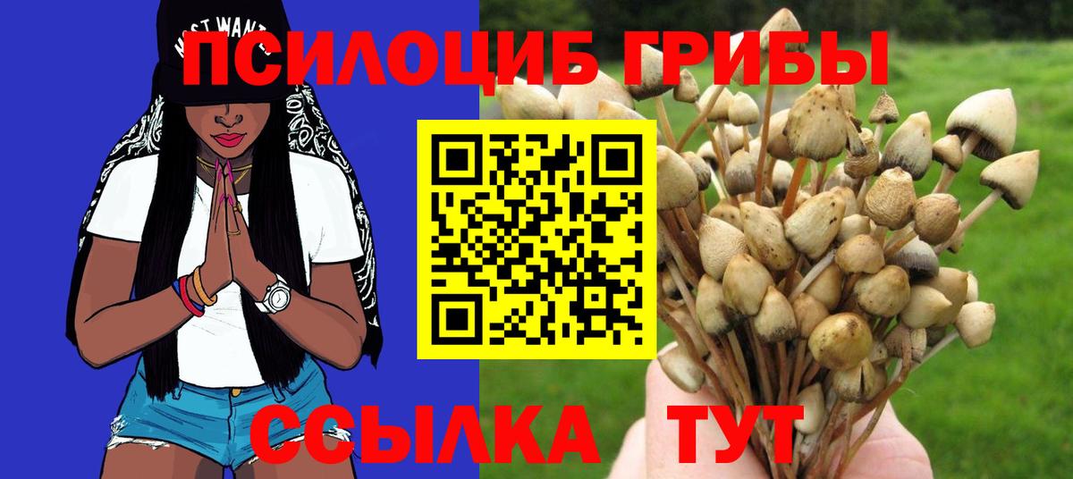 Псилоцибиновые грибы GOLDEN TEACHER Боровичи